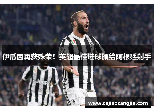 伊瓜因再获殊荣！英超最佳进球颁给阿根廷射手